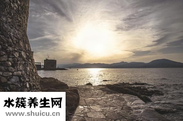 如遇強盜怎么辦