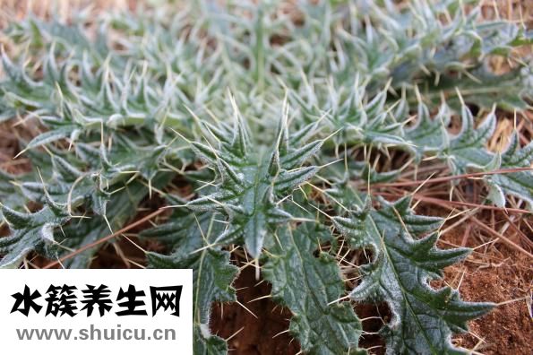 墻上粘勾怎么用