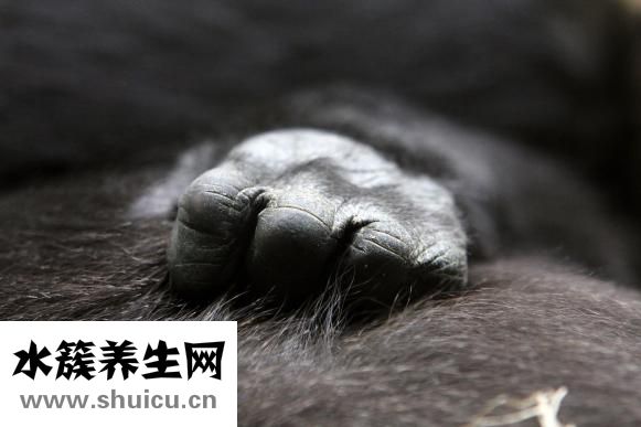 嬰兒感冒哭鬧怎么辦