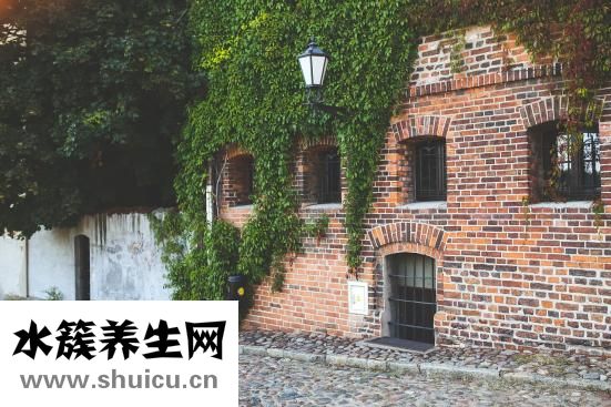 離婚后怎么才能復婚