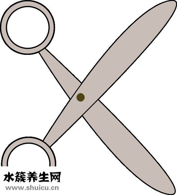 線蛇怎么處理安全