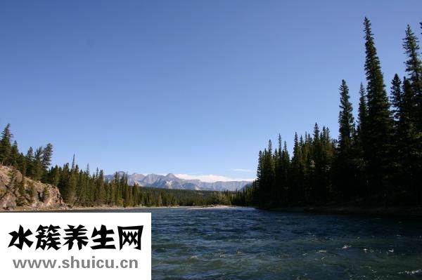 美麗雅拖把頭怎么換