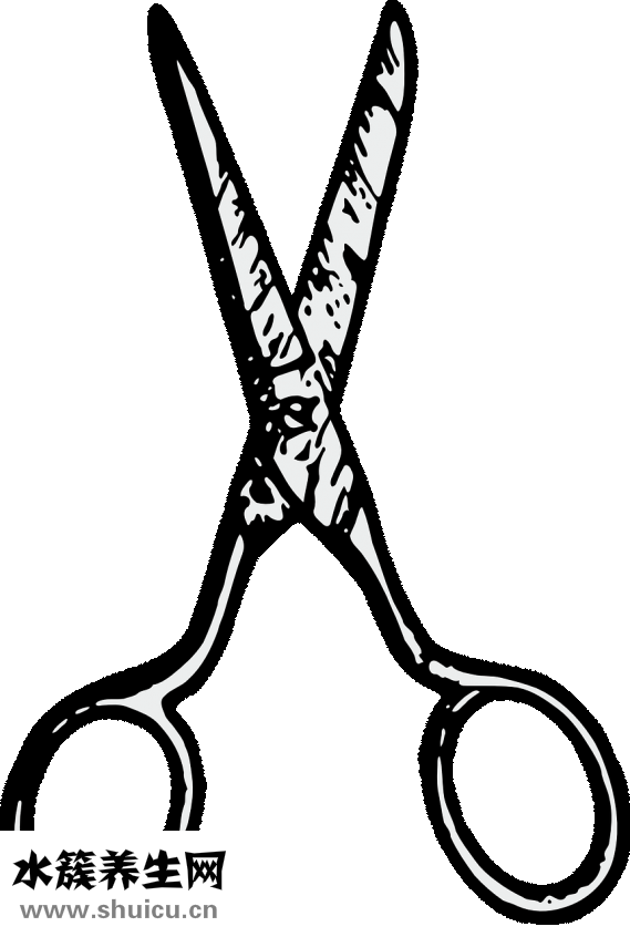 線蛇怎么處理安全