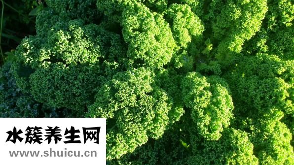 用醬油怎么腌制地環