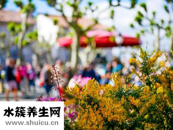 小狗年齡怎么算