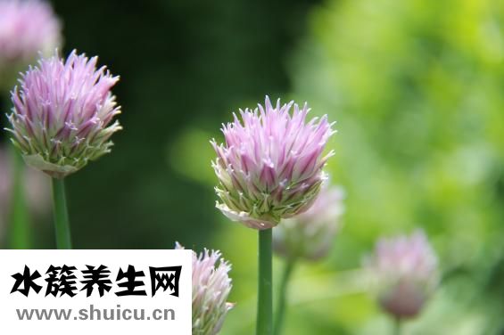 孕婦雞眼怎么根治