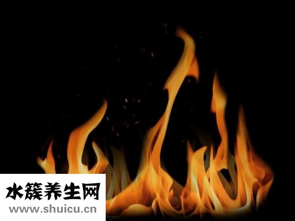 如遇強盜怎么辦