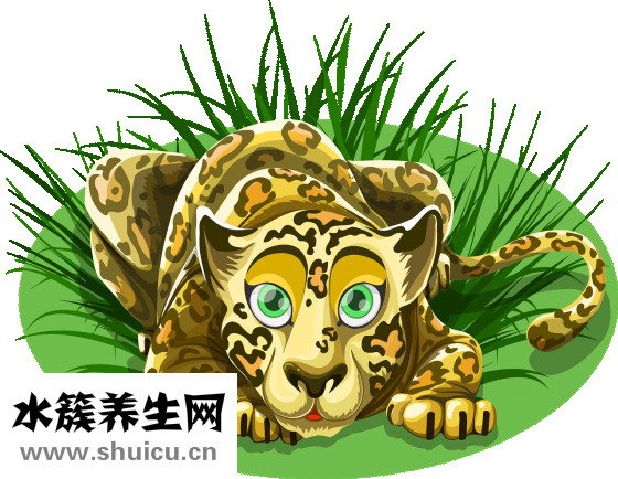 眼睛澀疼怎么辦