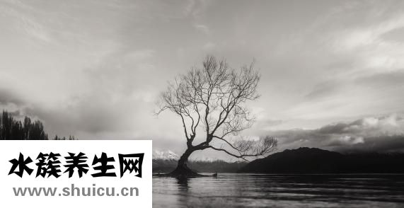 怎么拍漂浮照片