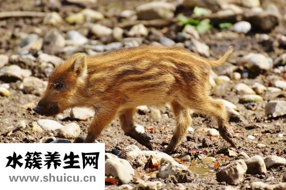 愚公移山怎么加好友