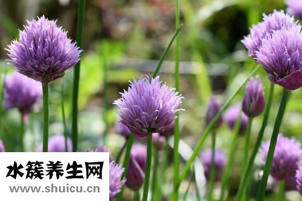 孕婦雞眼怎么根治