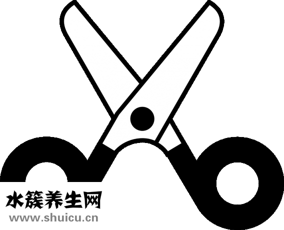 線蛇怎么處理安全