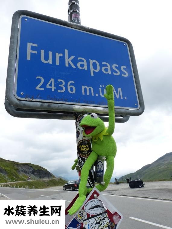 怎么減肚子上面的肉