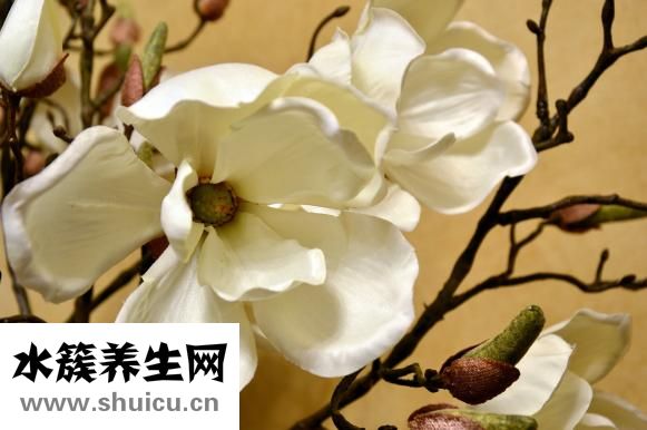 女人性欲強怎么抑制