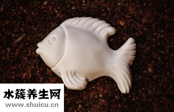 股骨頭摔折怎么治療