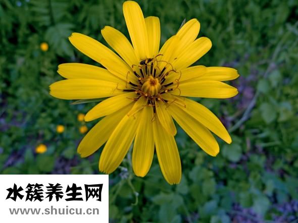 腋下很多肉怎么辦