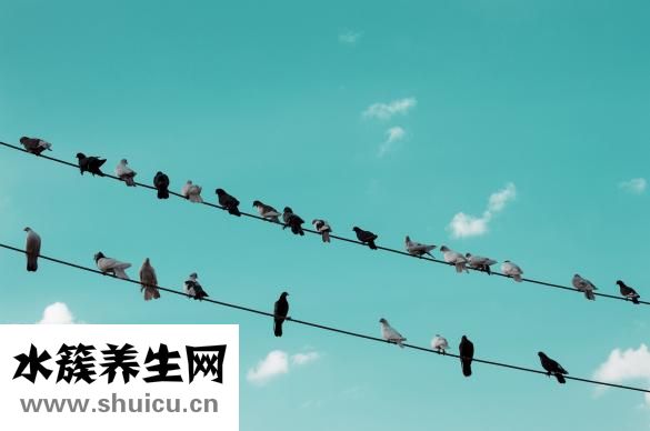 樣品單管理怎么處理