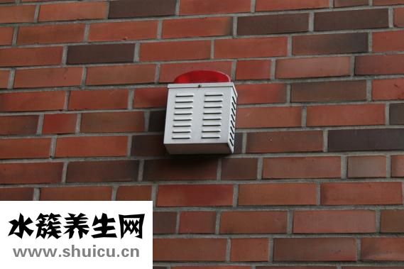 如遇強盜怎么辦