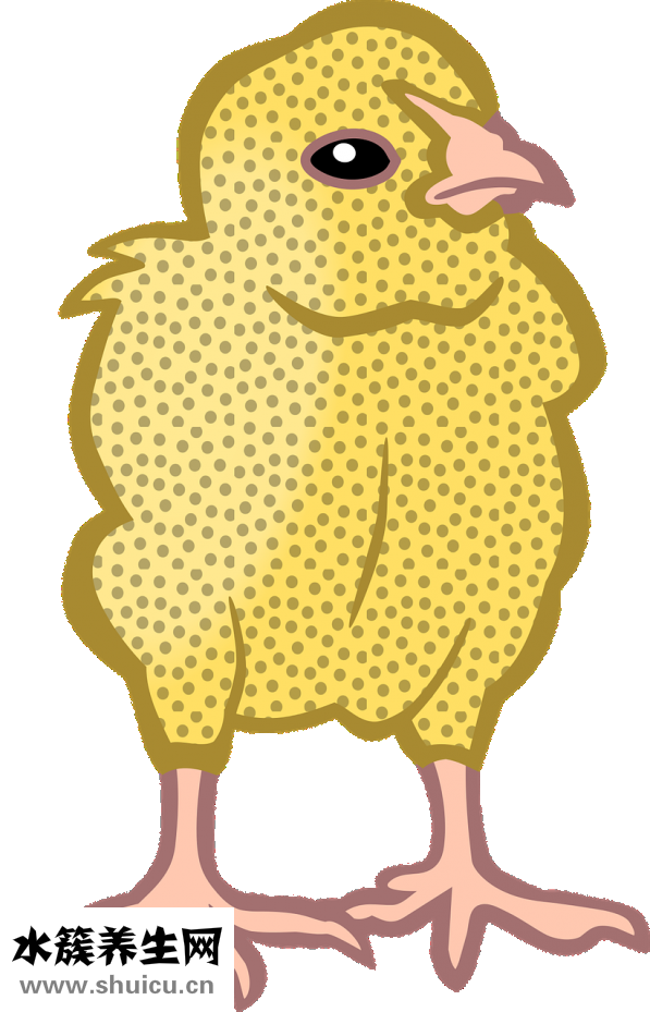 小雞眼睛水腫怎么了