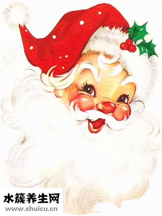 寵物醫(yī)生怎么學(xué)