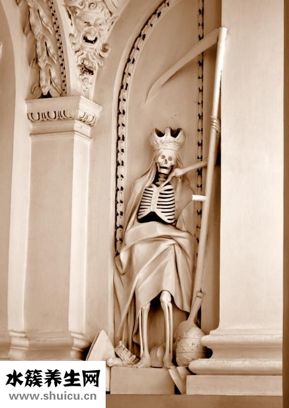 股骨頭摔折怎么治療