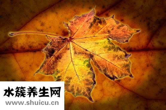 腋下很多肉怎么辦