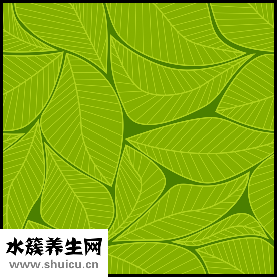 怎么能養(yǎng)好草金魚