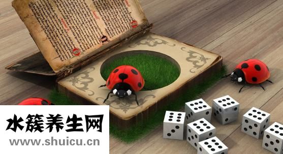 沙發生蟲子怎么辦