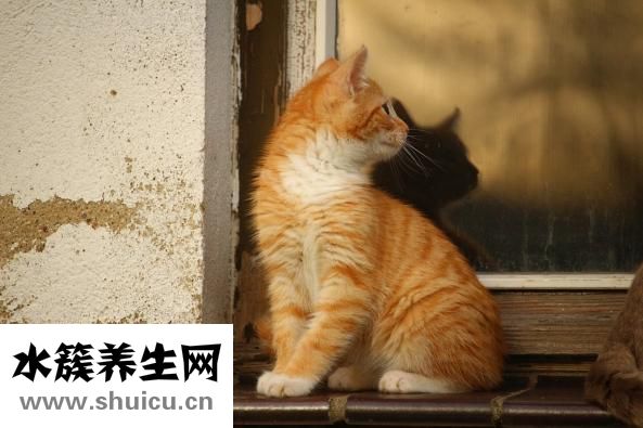 寶貝臉怎么防凍