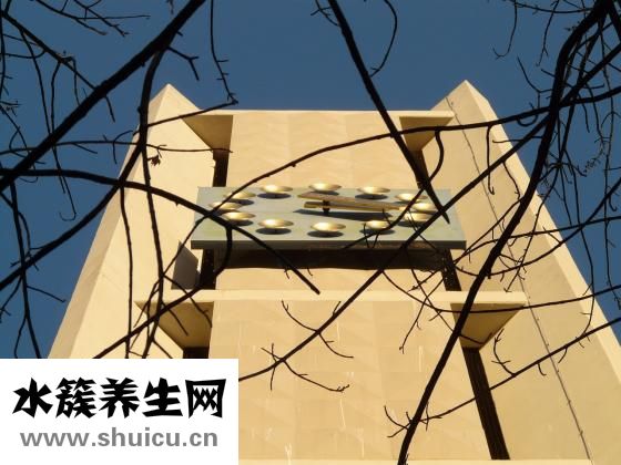 活河蟹應該怎么保存