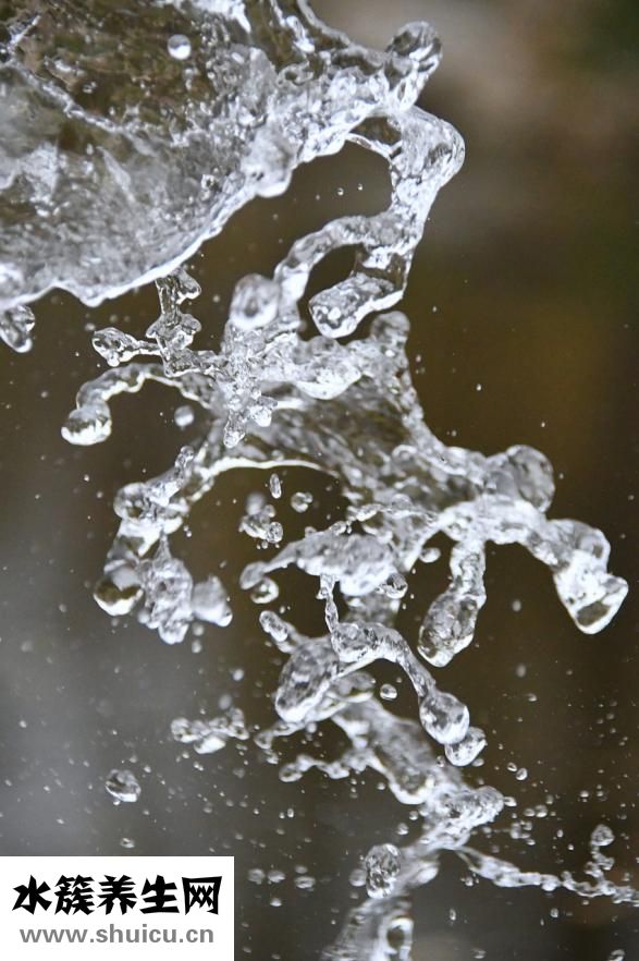 無掌紋是怎么回事