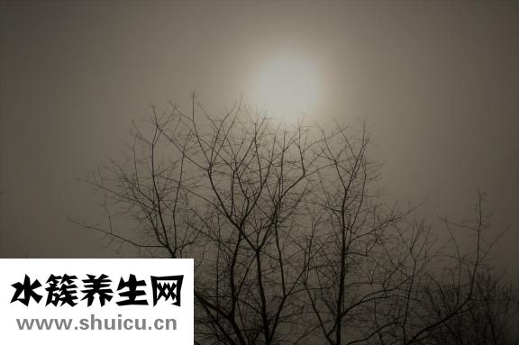 打架怎么掐脖子