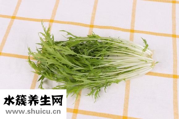 意大利面怎么畫