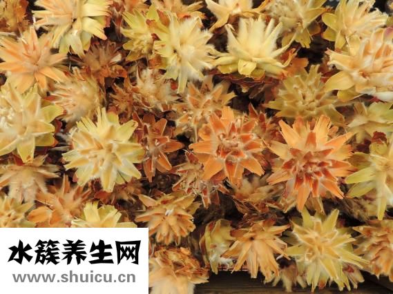 臭干子的湯汁怎么做