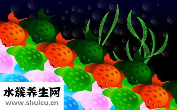 孕婦吃草魚怎么做好