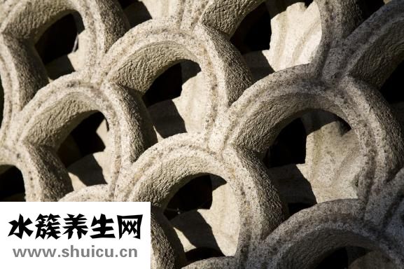 檸檬怎么腌制好吃