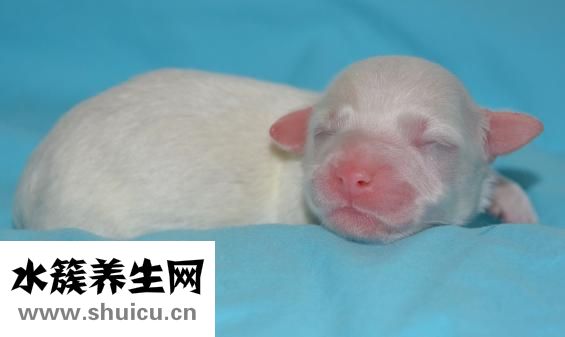 護理教案怎么寫