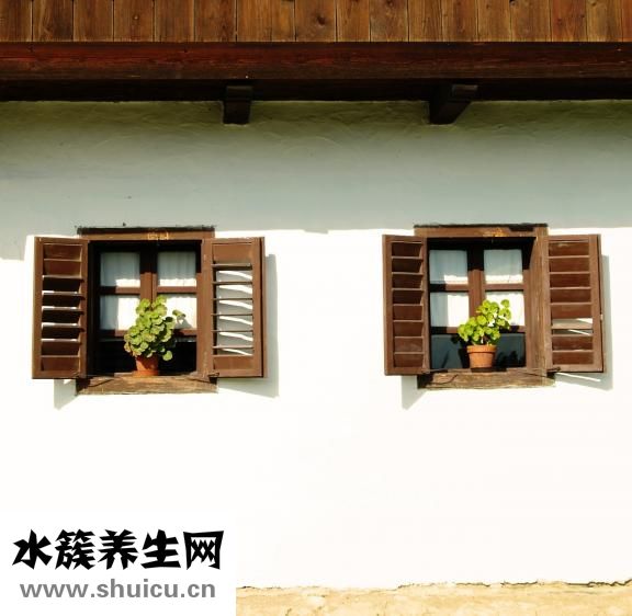 慢性腎炎復(fù)發(fā)怎么辦