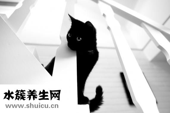 眼晴流淚是怎么回事