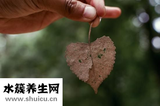 眼捷毛白了怎么回事