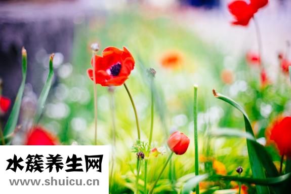 膨化食品怎么吃不胖