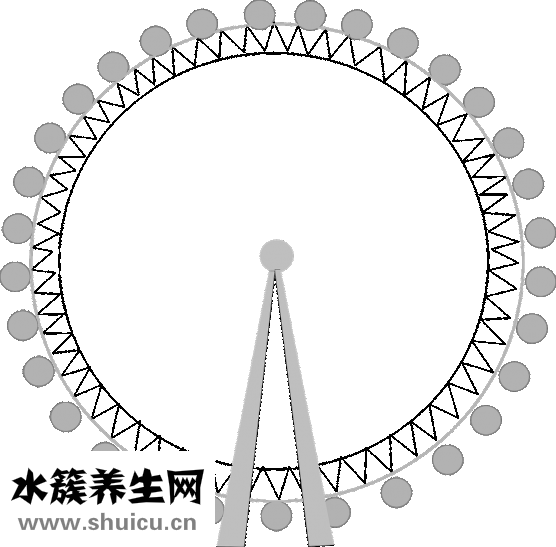 眼晴流淚是怎么回事