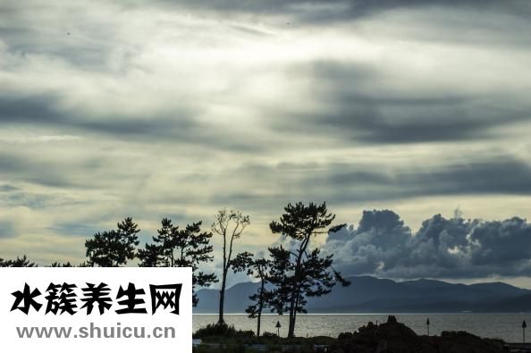 貓舔過的碗怎么消毒