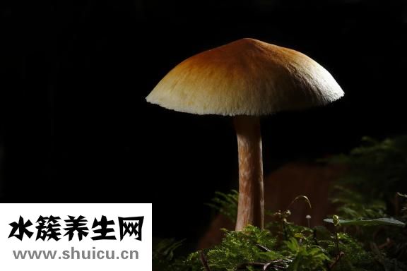 蘑菇街怎么消聊聊