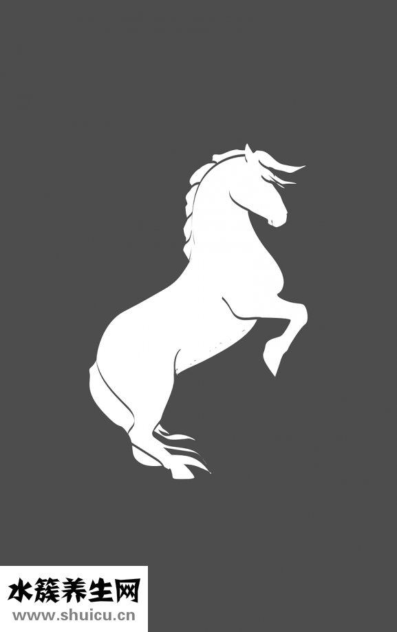 臭干子的湯汁怎么做