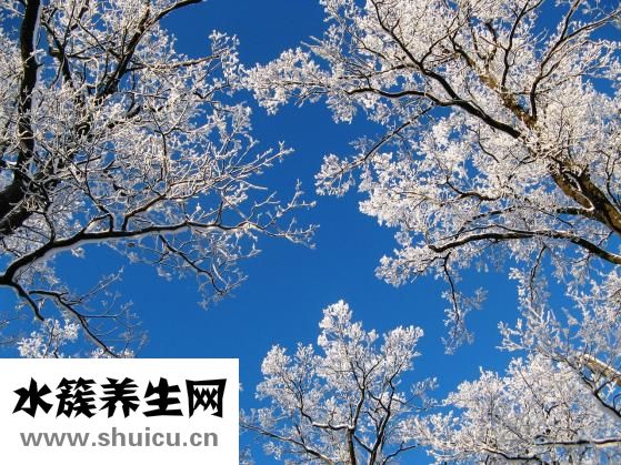 怎么調(diào)整好心態(tài)