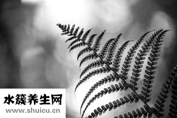 指甲蓋縫長弄怎么辦