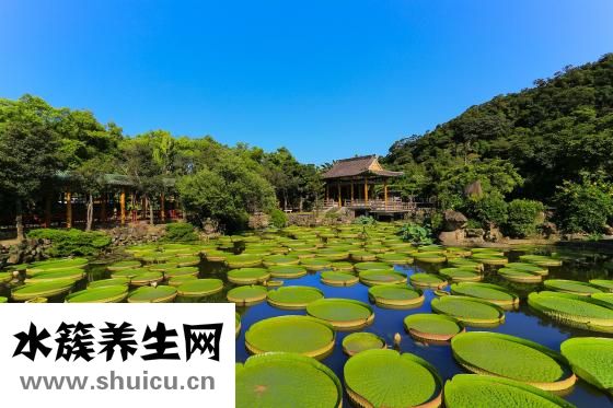 國慶不放假怎么辦