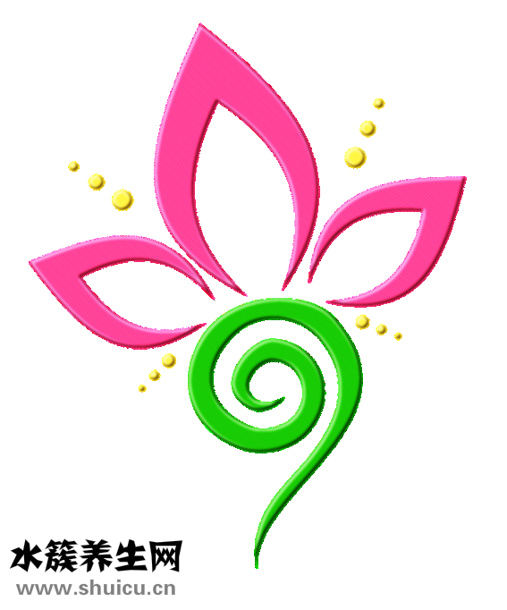 油發(fā)魚肚怎么做好吃