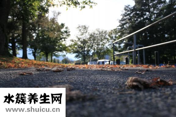 怎么快速鍛煉出肌肉